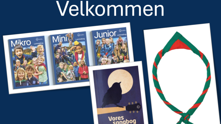 Indmeldelse