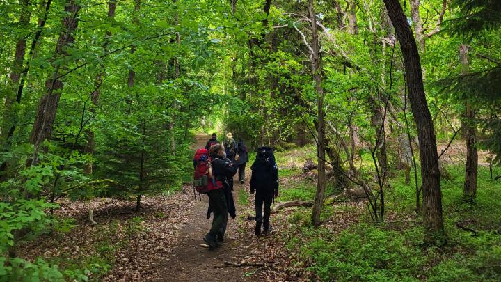 Troppen på vandretur